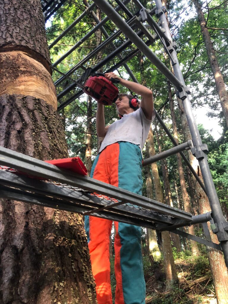 Wild heart_Japon_Ariane Patout