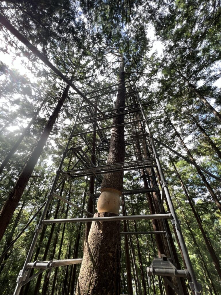 Wild heart_Japon_Ariane Patout