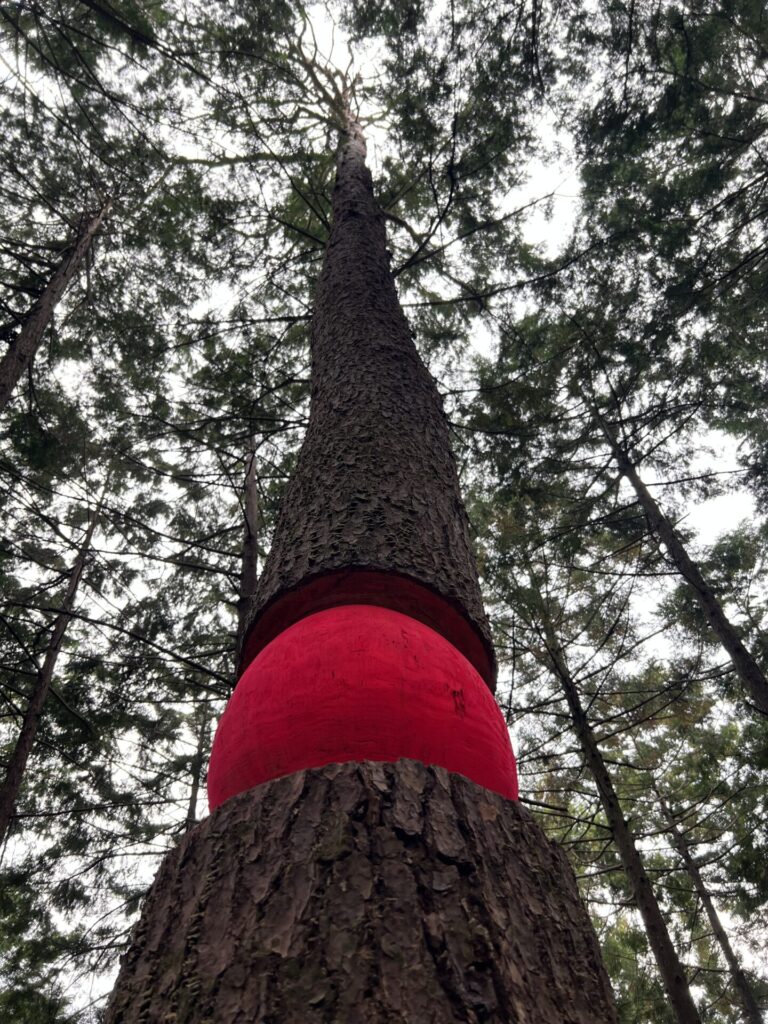 Wild heart_Japon_Ariane Patout