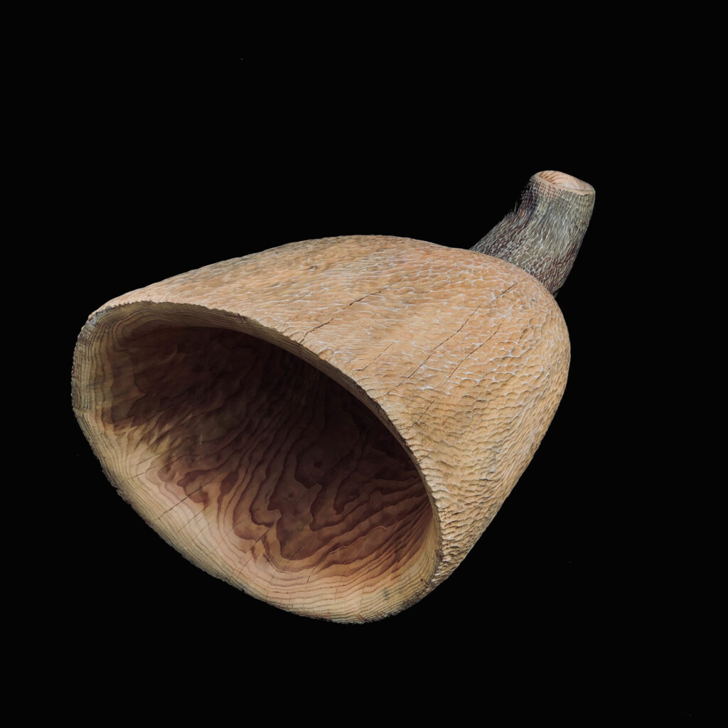 trompeta fons negre2