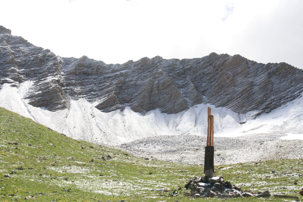 WILD CHAIRS ARIANE PATOUT